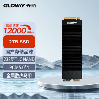 光威（Gloway）2TB SSD固态硬盘 M.2接口(NVMe协议) PCIe 5.0 独立缓存 神策PRO系列