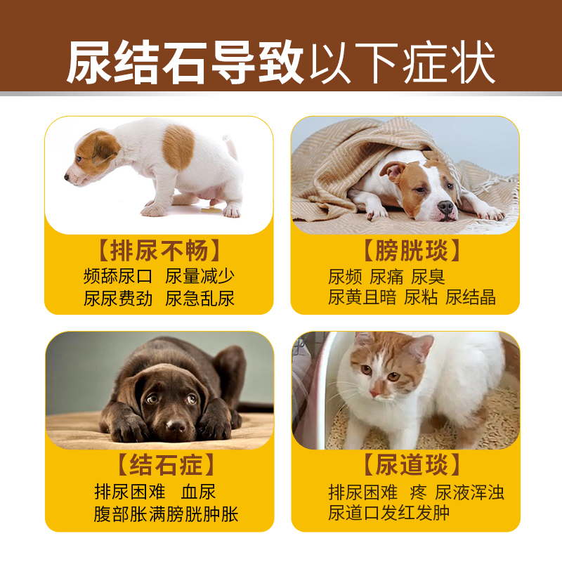 宠莱克猫咪狗狗膀胱结石尿结晶化石排石猫石通猫狗泌尿系统尿石消