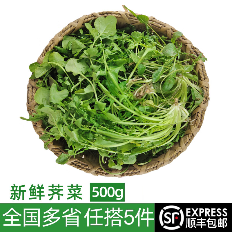 绿食者新鲜荠菜500g 农家新鲜蔬菜 香荠菜 馄饨饺子馅食材 500g