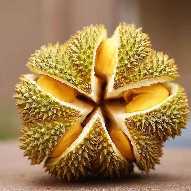 冰茜 泰国金枕榴莲 整个带壳榴莲2~3斤装 1个