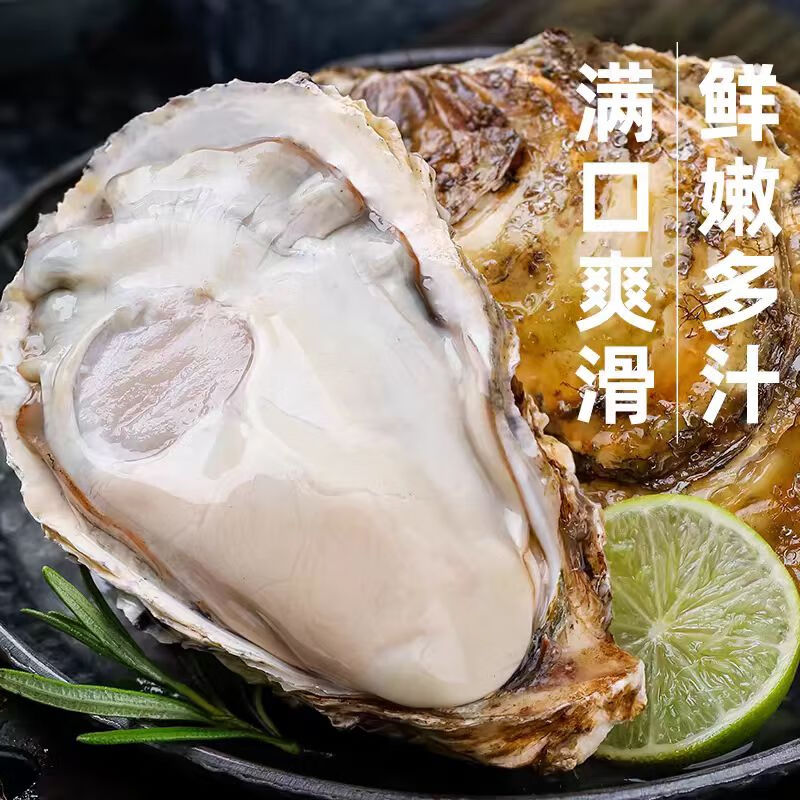 源头直发！特大号！乳山生蚝 5XL  5斤装 （带官方溯源防伪标识、死蚝包赔）