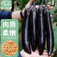 寿禾 长茄子种子紫皮春季菜园种植蔬菜种籽 潍丰黑豹2号长茄种子120粒