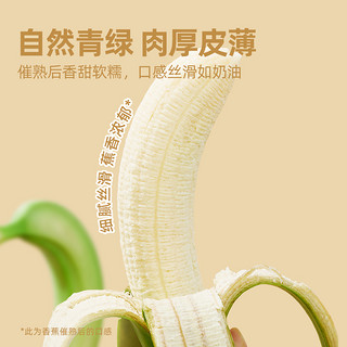 88VIP：喵满分 云南高山绿皮香蕉5斤