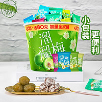 LIUM 溜溜梅 全家桶480g青梅梅子孕妇儿童休闲零食小吃蜜饯果干 480g1桶加量全家桶