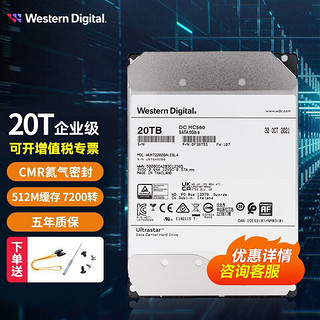 西部数据 WD） 企业级硬盘 NAS服务器机械硬盘 3.5英寸 CMR垂直 7200转 SATA接口 HC560 20T-WUH722020ALE6L4 Ultrastar