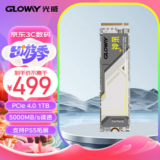 光威（Gloway）1TB SSD固态硬盘 M.2接口(NVMe协议) PCIe 4.0x4 神策系列