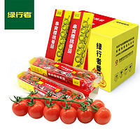 绿行者（GREER） 樱桃番茄198g*4盒 脆甜小西红柿精选圣女果生鲜水果轻食
