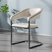 瑞欣居（ruixinju）高级感家用靠背椅设计师款洽谈茶椅主人椅 茶椅/主人椅（黑钛色）
