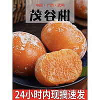 尹福记 广西茂谷柑脏脏柑爆汁的橘子当季水果 茂 谷柑 净重 8斤 40个左右 花皮 净重  8斤