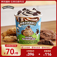 BEN & JERRY'S 本杰瑞巧克力曲奇海鹽圣代冰淇淋427ml 冰激凌 海外原裝進口