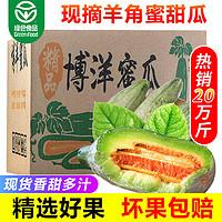 蔬农联（SHUNONGLIAN）山东羊角蜜甜瓜香瓜当季新鲜水果生鲜 5斤精选装单果150g起