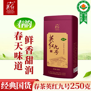 YINGHONG TEA 英红 牌 春茶英红九号有机茶叶 功夫红茶大份量罐装250g 自饮节日送礼