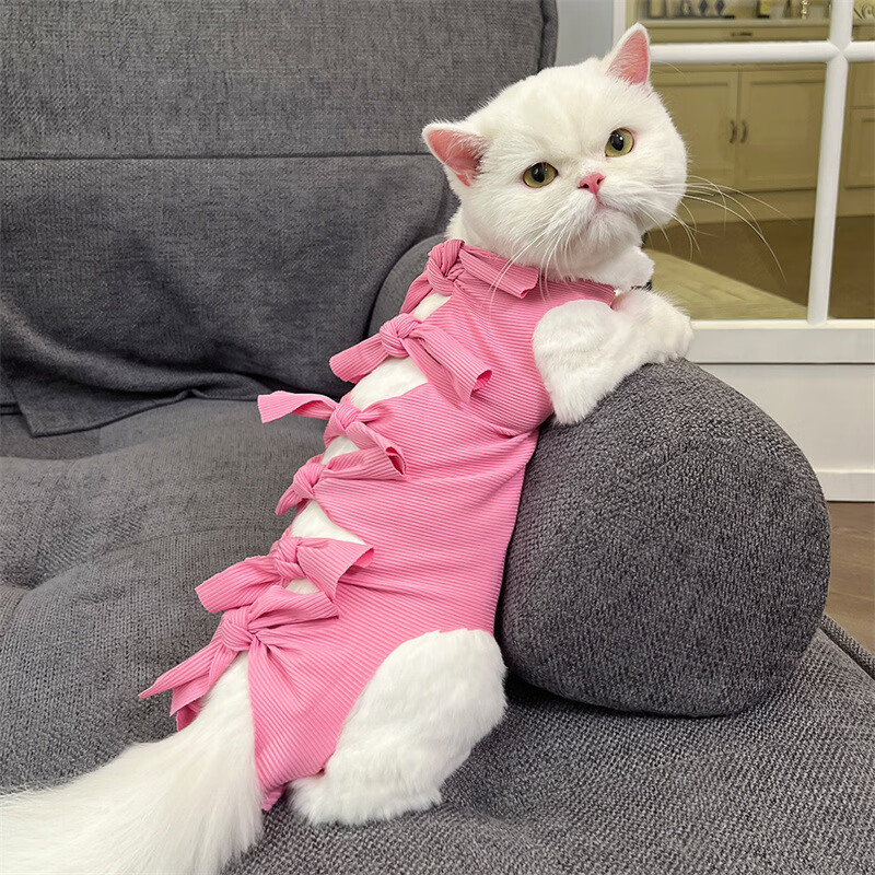 宠号 宠物猫咪衣服 绝育服 母猫 手术服小猫 粉色 S 3-6斤
