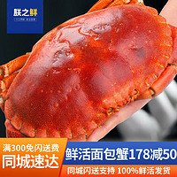 【活蟹】朕之鲜 面包蟹鲜活超大螃蟹母蟹 鲜活面包蟹 800-900g/只