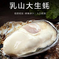 顺丰冷链！乳山生蚝 5XL特大号 5.5斤装 （带官方溯源防伪标识、死蚝包赔）顺丰冷链