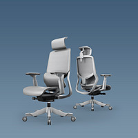 Motostuhl 摩伽 S5精准找腰人体工学办公椅电脑椅 月岩灰 月岩灰