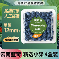 京鲜生 云南蓝莓 4盒装 果径12mm+ 新鲜水果礼盒 源头直发