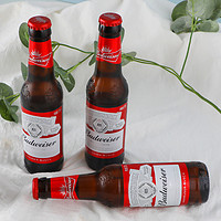 整箱百威Budweiser啤酒24瓶 拉格清爽小麦白啤275ml*24瓶