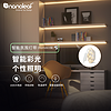 Nanoleaf 奇光万物智能氛围灯带彩光无极调色led灯条