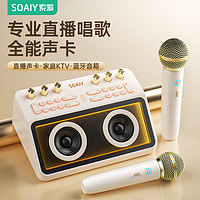 SOAIY 索爱 SG12直播设备全套唱歌专用声卡音响一体机主播K歌话筒麦克风