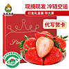 鑫久盈 丹东草莓99红颜礼盒装  3斤（单果25-35g）