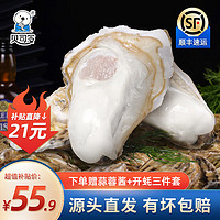 BEISILING 貝司令 鮮活乳山生蠔海鮮貝類牡蠣2XL號 凈重5斤 17+只裝 2XL凈重5斤