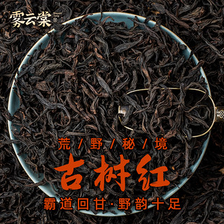 雾云棠 野生荒原古树红茶滇红茶特级浓香型云南金针中国红茶叶旗舰店500g