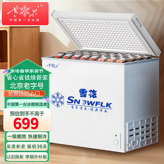 SNOWBEER 雪花 SNOWFLK 雪花 卧式冰柜 小冰箱 232L 一级能效