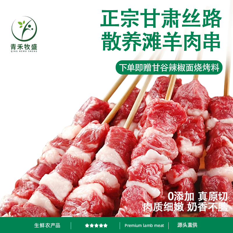 羊肉串新鲜农家散养丝路滩羊户外烤肉烧烤食材烤串空气炸锅牛肉串