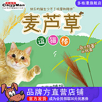 多格漫猫咪玩具 麦芦草逗猫棒宠物互动逗猫杆 短款 芦苇2支