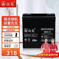 山克 12V24AH蓄电池 UPS电池 消防应急门禁电瓶 EPS逆变器蓄电池