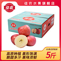 佳农陕西高原苹果脆甜多汁新鲜红富士苹果家庭装水果 85mm+ 5斤