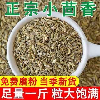 正宗甘肃小茴香500g川菜火锅调料炖肉烧烤撒料香料调料大全可磨粉