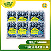 Driscoll's Only the Finest Berries 怡颗莓 当季云南蓝莓 国产蓝莓 新鲜水果 云南当季125g*4盒