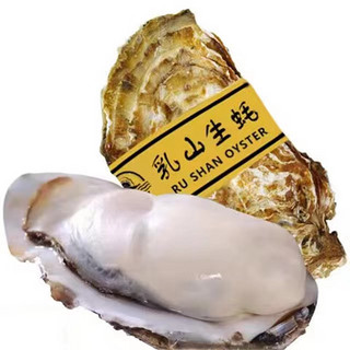 源头直发！正宗！乳山生蚝 3XL 牡蛎 5.5斤 （带官方溯源防伪标识、死蚝包赔)