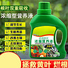 SMVP 植物營養液 500ml*1瓶