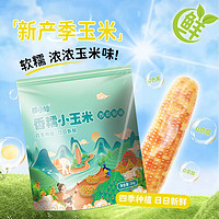 京百味 云南小香糯玉米 1kg