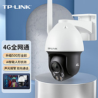 TP-LINK 普联 500万4G全网通网络监控摄像头室外防水球机全彩夜视360度智能监控器摄像机TL-IPC653-A4G电源套装版