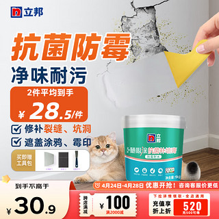 立邦 补墙膏  1kg  件