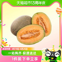 88VIP：天猫超市 海南晓蜜哈密瓜2-3斤/4-5斤瓜肉肥厚清脆香甜多汁新鲜现摘水果