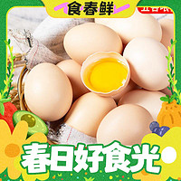 筱诺 新鲜农村土鸡蛋 10枚