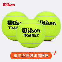 Wilson 威爾勝 網球訓練球比賽網球威爾遜發球機耐打無壓恒壓網球