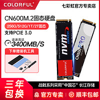 COLORFUL 七彩虹 CN600 M.2高速固态硬盘256G 台式笔记本电脑