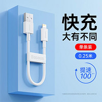 BASEUS 倍思 適用蘋果14數據線iPhone13充電線器11手機12promax