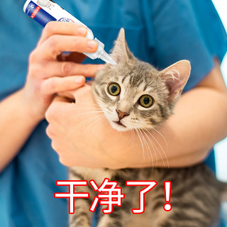 狗狗滴耳液耳螨猫用猫耳螨宠物洗耳液猫咪耳朵清洁用品耳屎药消炎