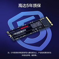 京东京造 JZ-SSD256GB-5 NVMe M.2 固态硬盘 256GB (PCI-E3.0)