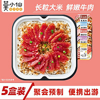 莫小仙 自热米饭煲仔饭 米饭5盒组合