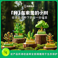 88VIP：喵滿分 螞蟻森林-森林的樹系列盲盒