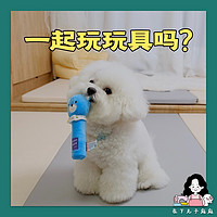 GiGwi 貴為 寵物發聲玩具 狗狗磨牙訓練