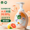 Dettol 滴露 泡沫抑菌洗手液 西柚香型 250ml